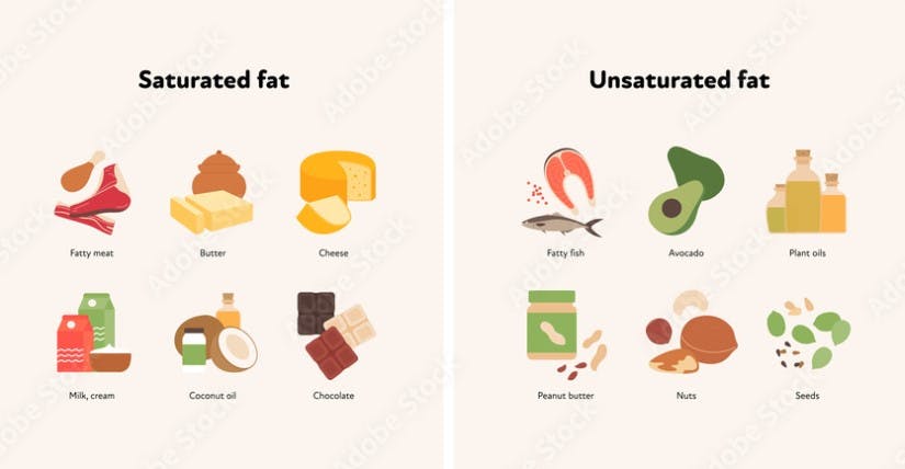 Good and bad fats illustration